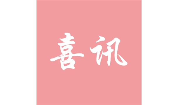 喜讯|线上赌博app股份策尼特940型全自动砌块成型机入选绿色矿山百项装备（技术）